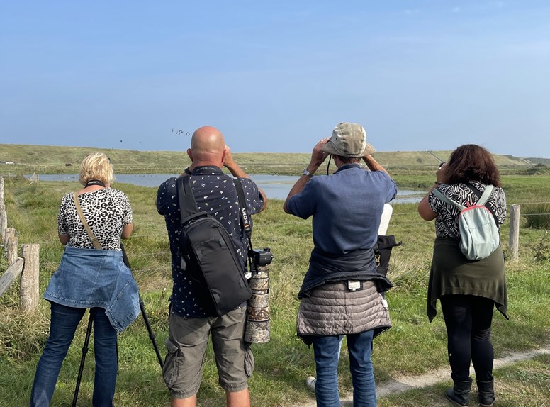 groep vogelspotten