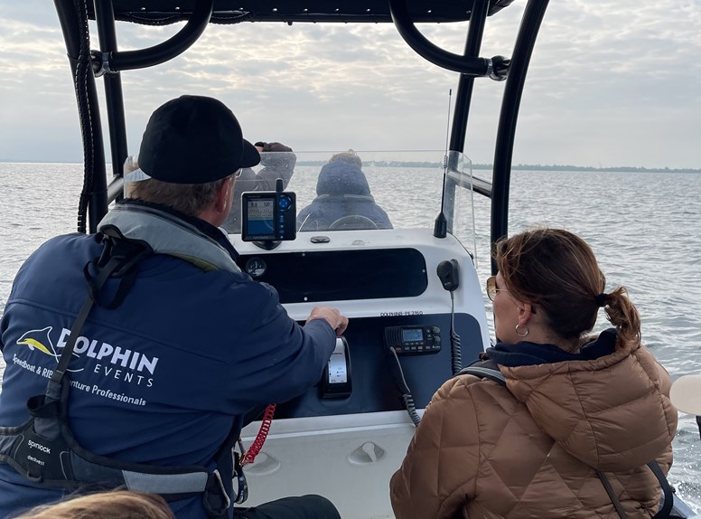 Zeehondensafari