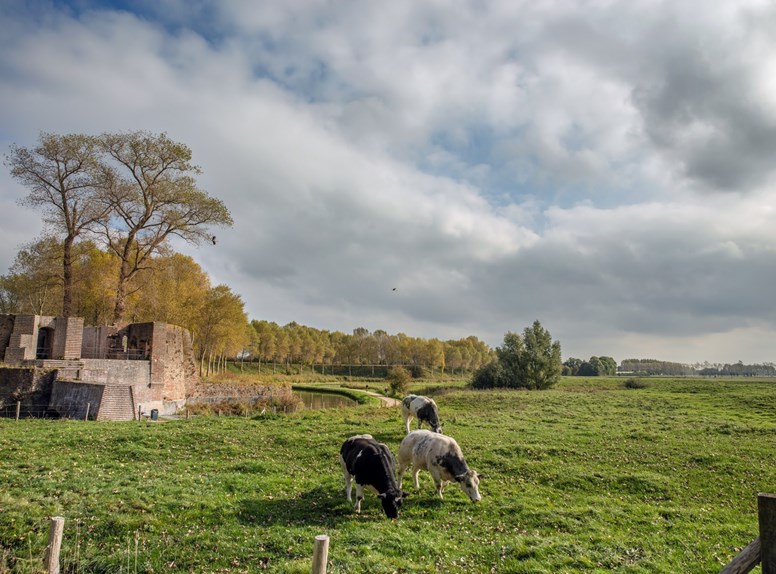 De wallen van Sluis, prachtige verdedigingsmuren van meer dan 600 jaar.