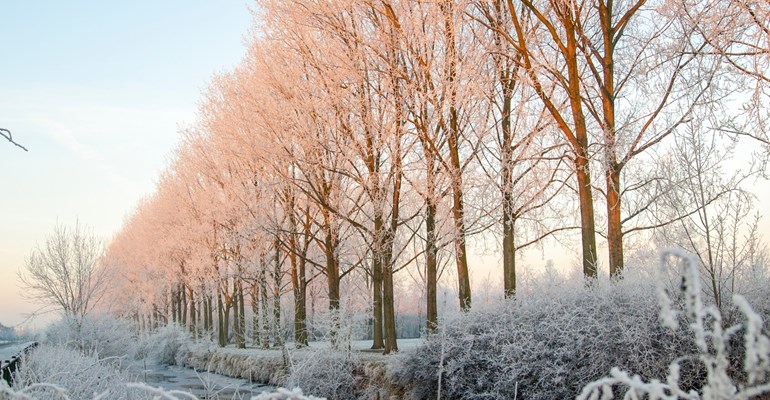 Winter in Zeeland is genieten. Tijdens je Kerstvakantie kan je in Zeeland genoeg doen. Denk aan een heerlijke strandwandeling om je vervolgens op te warmen aan het heerlijk kopjes choco in een strandtent. Of heerlijk shoppen in de prachtig versierde winkelstraten.