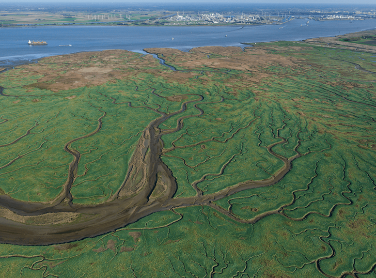 Land van Saefthinge
