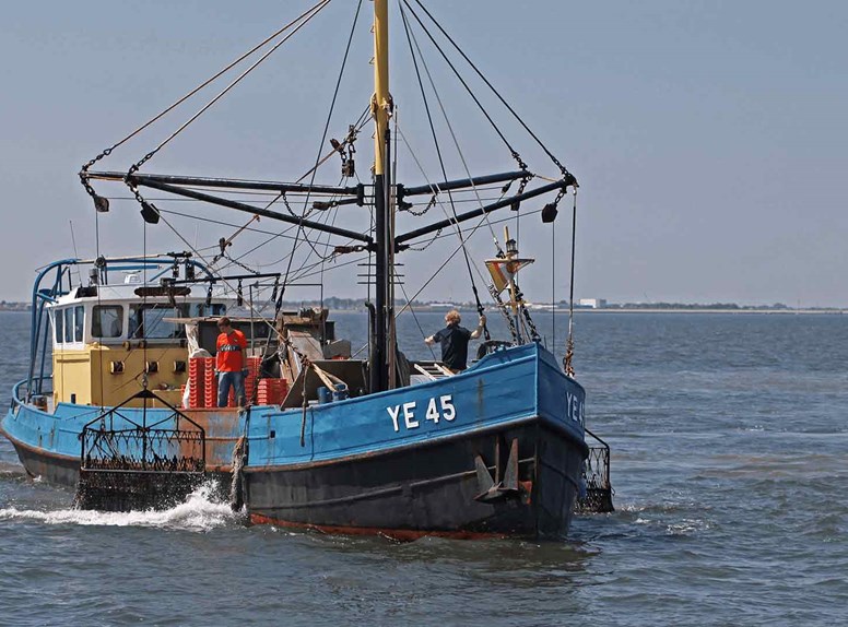 Oestervissers uit Yerseke
